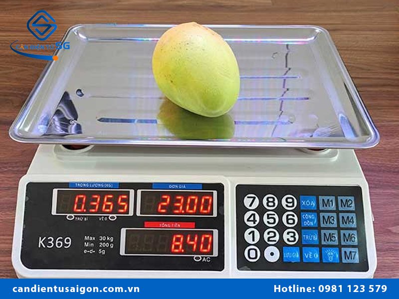 Pin cân điện tử 6v