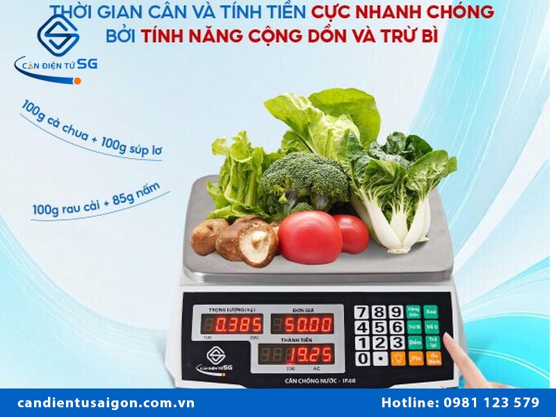 Cân đĩa là cân gì?