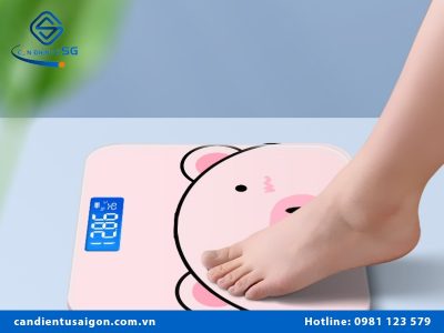Cân điện tử con heo có chính xác không?