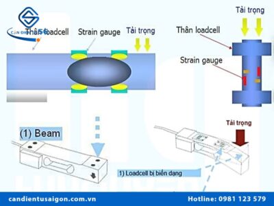 Nguyên lý hoạt động của cân điện tử