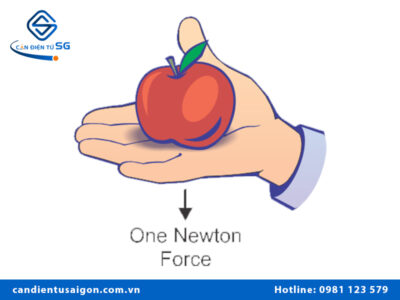 P đơn vị là gì