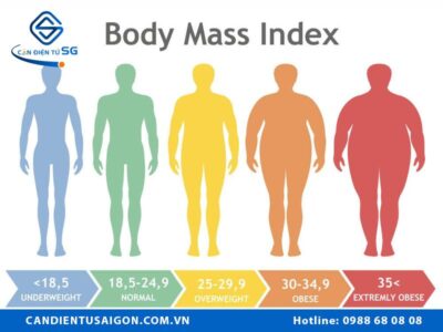 BMI là gì? Cách tính chỉ số BMI từ cân sức khỏe