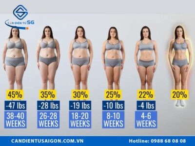 Chỉ số mỡ cơ thể (Body Fat) là gì?